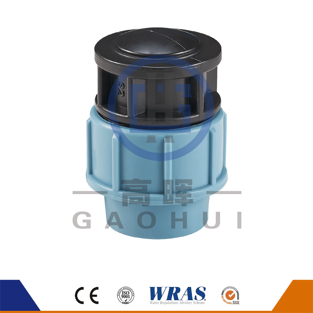 Versiunea italiană PP End Cap P-038